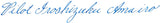 Pilot Iroshizuku Ama-Iro (Light Sky Blue) 50ml Bottled Ink