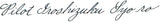 Pilot Iroshizuku Syo-Ro - 15 mL Bottled Fountain Pen Ink